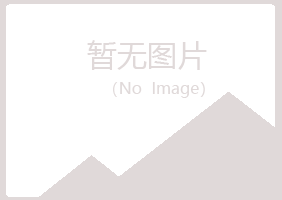 疏勒县冰夏金属有限公司